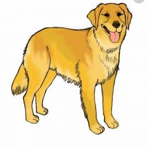 Раскраска рисунок собака для детей #12 #475169