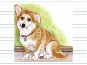 Раскраска рисунок собака для детей #25 #475182