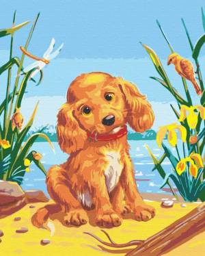 Раскраска рисунок собака для детей #29 #475186