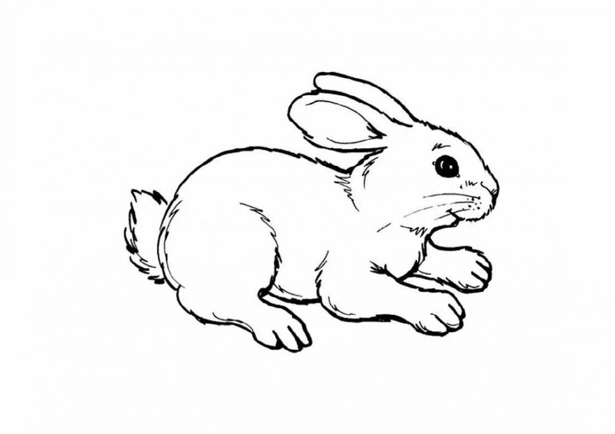 Рисунки животных для для детей #9