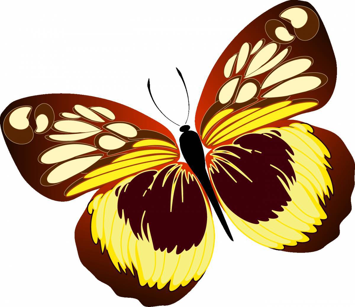 Рисунок бабочка для детей #15