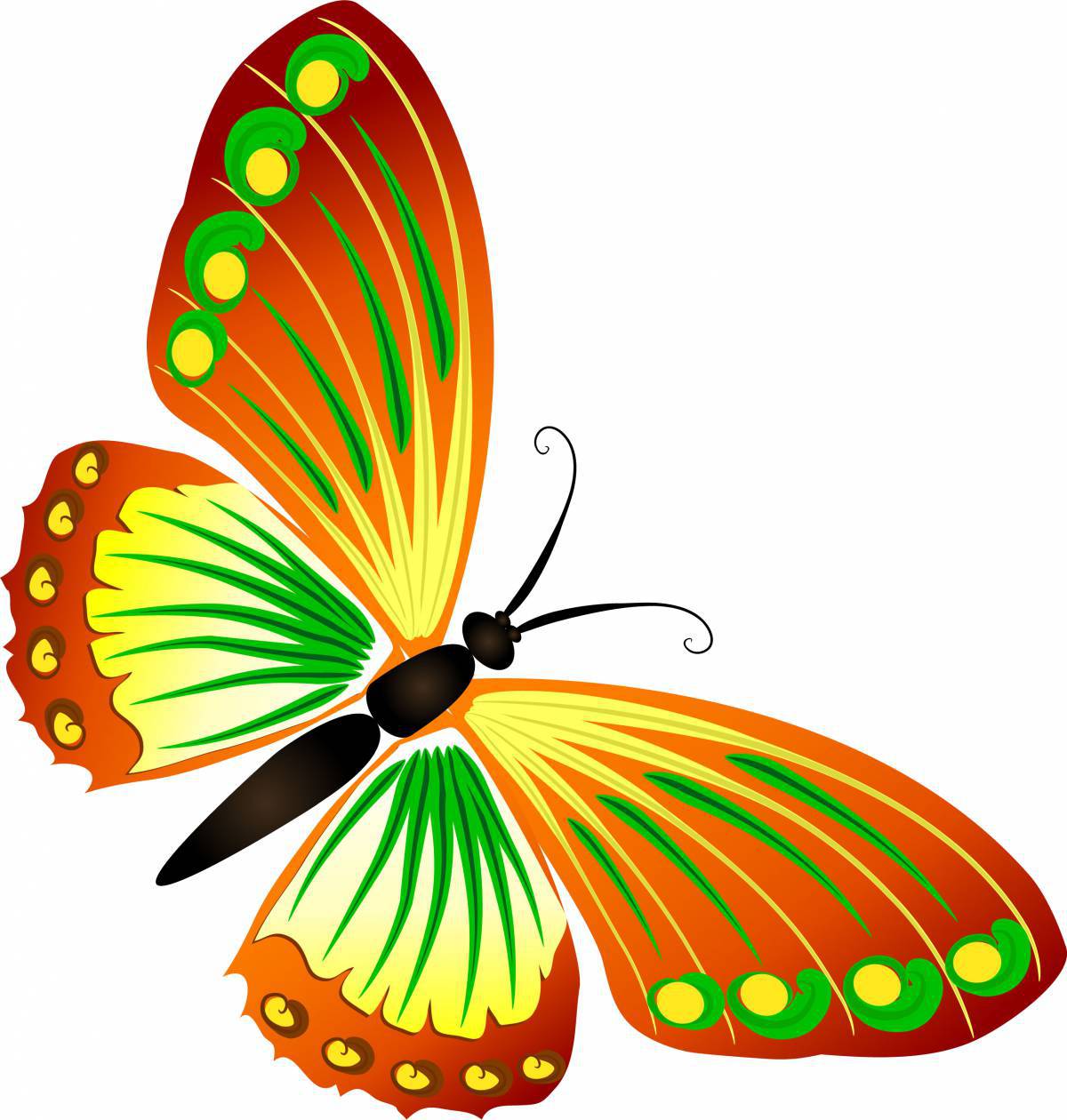 Рисунок бабочка для детей #31