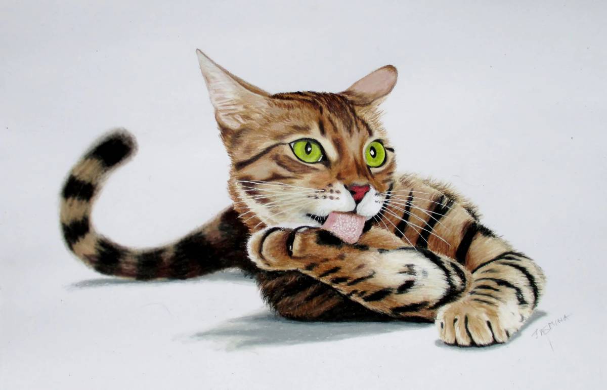 Рисунок кошка #18