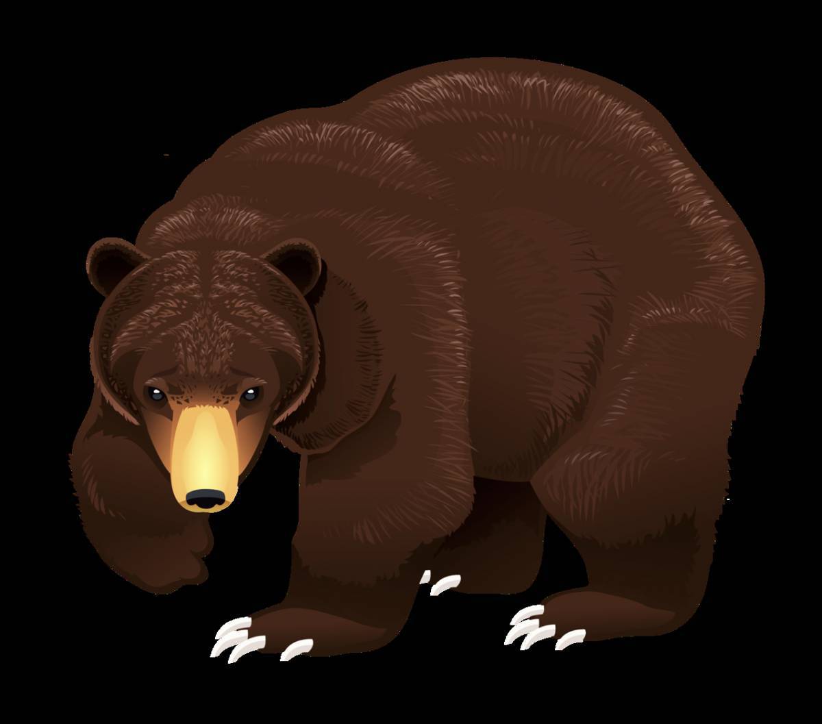 Рисунок медведь для детей #13