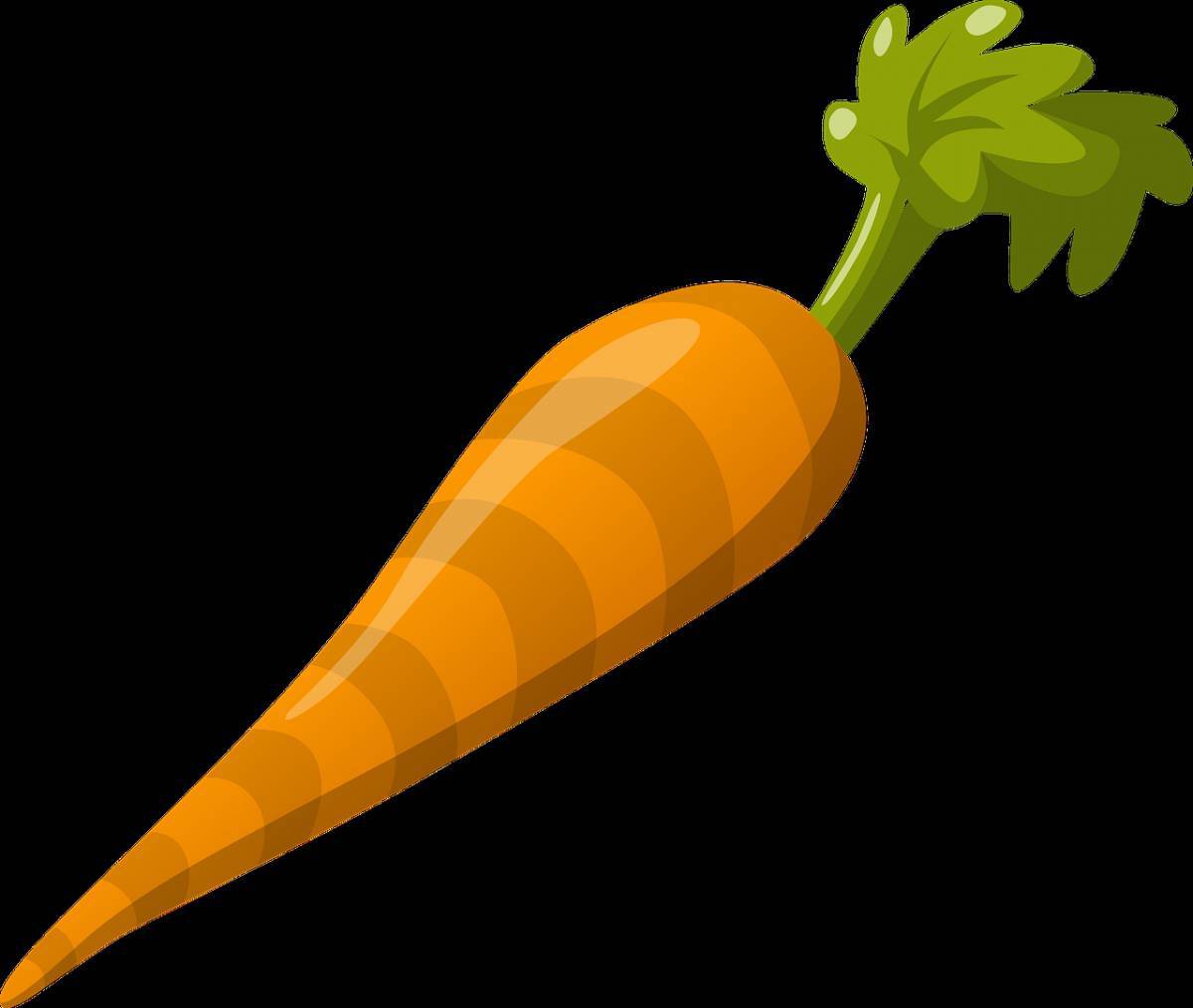 Рисунок морковка #18