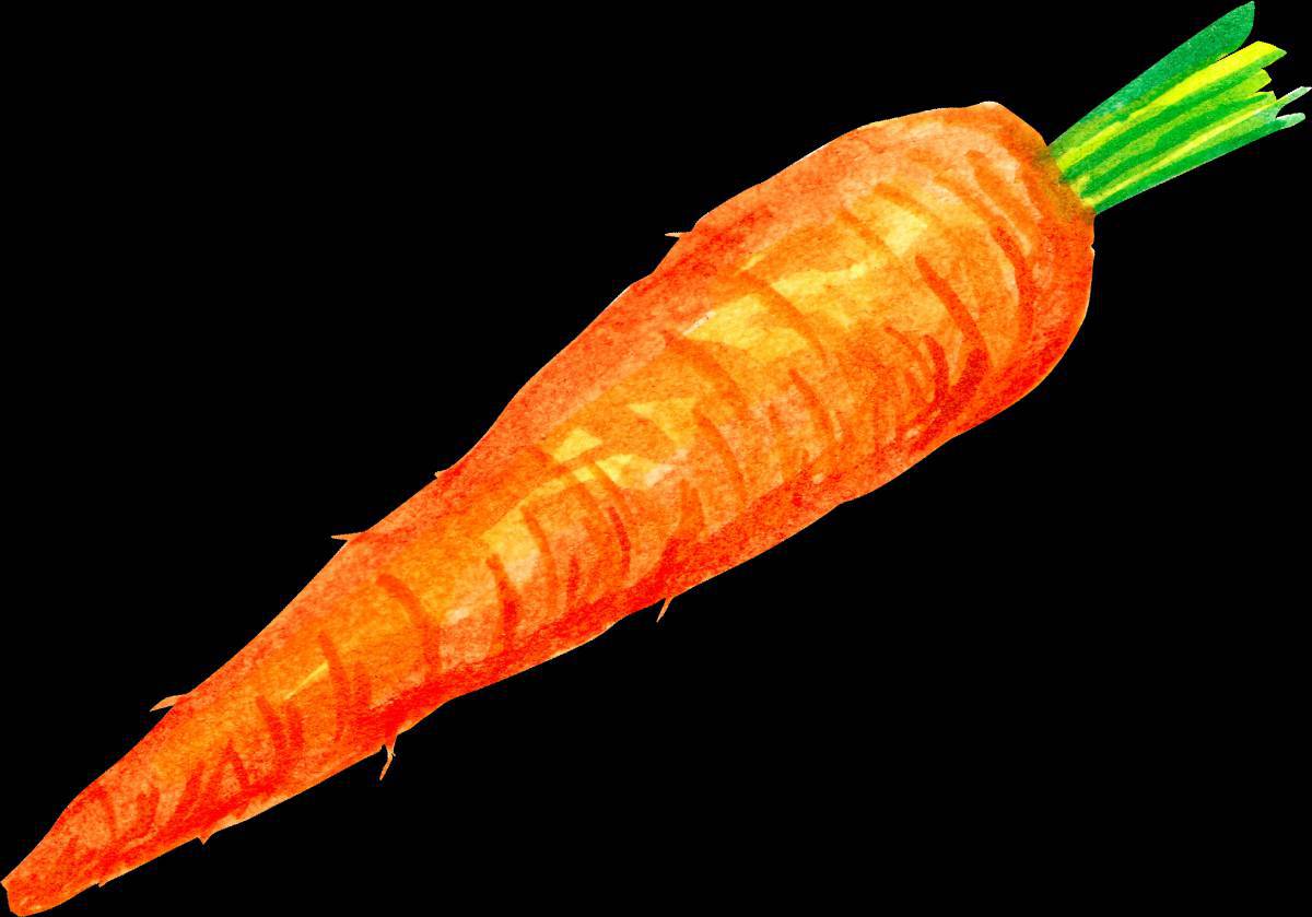Рисунок морковка #19
