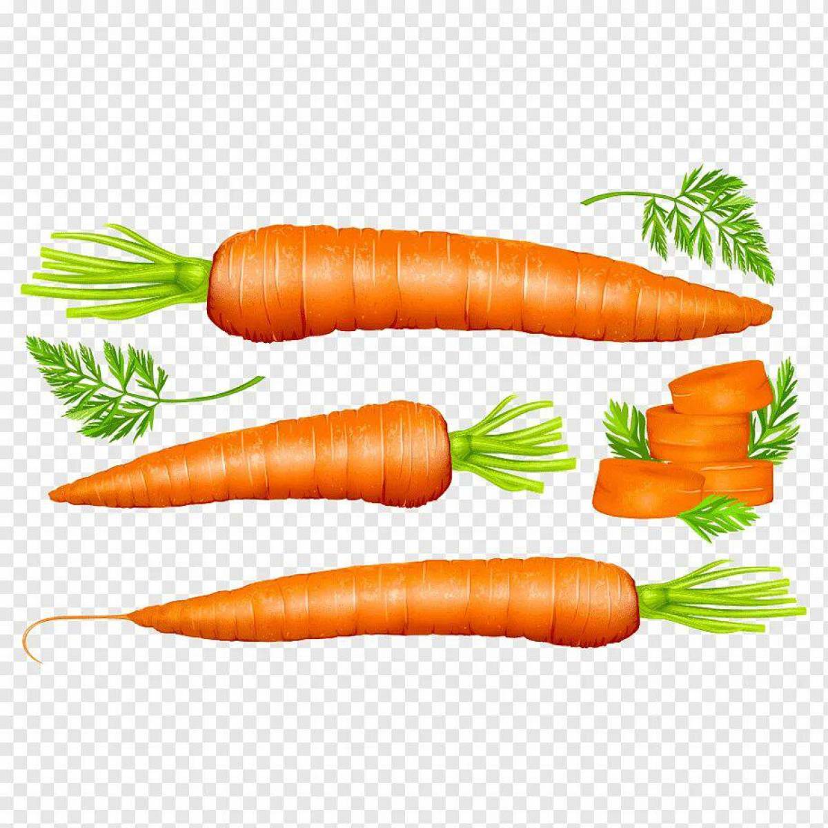 Рисунок морковка #22