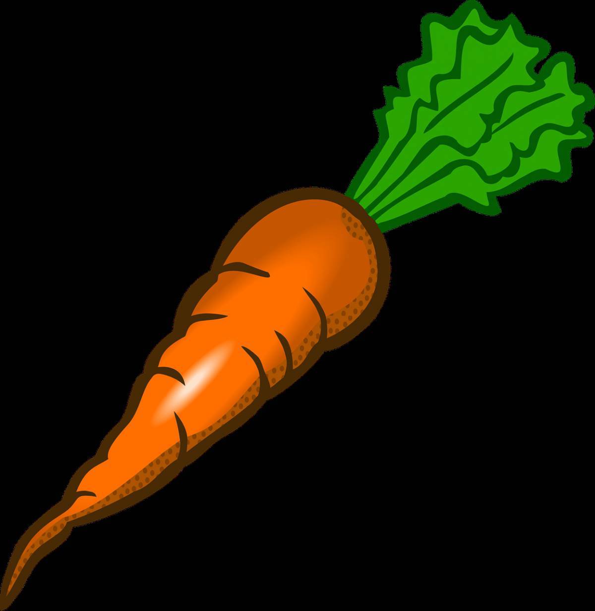 Рисунок морковка #32