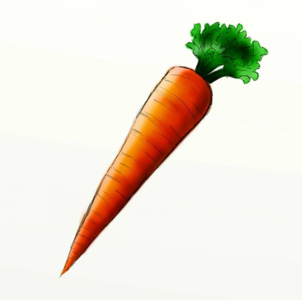 Рисунок морковка #36