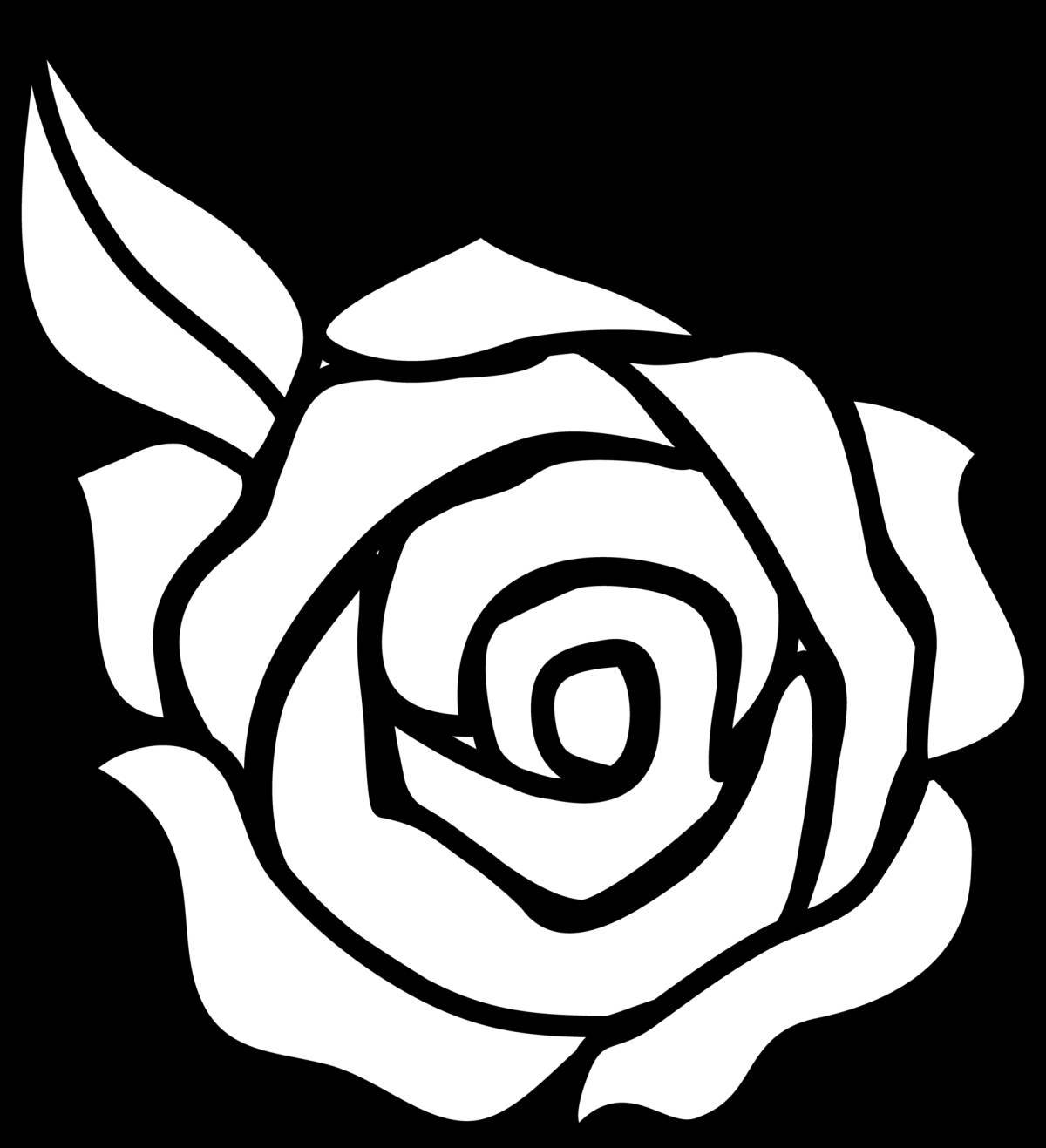 Рисунок роза #8