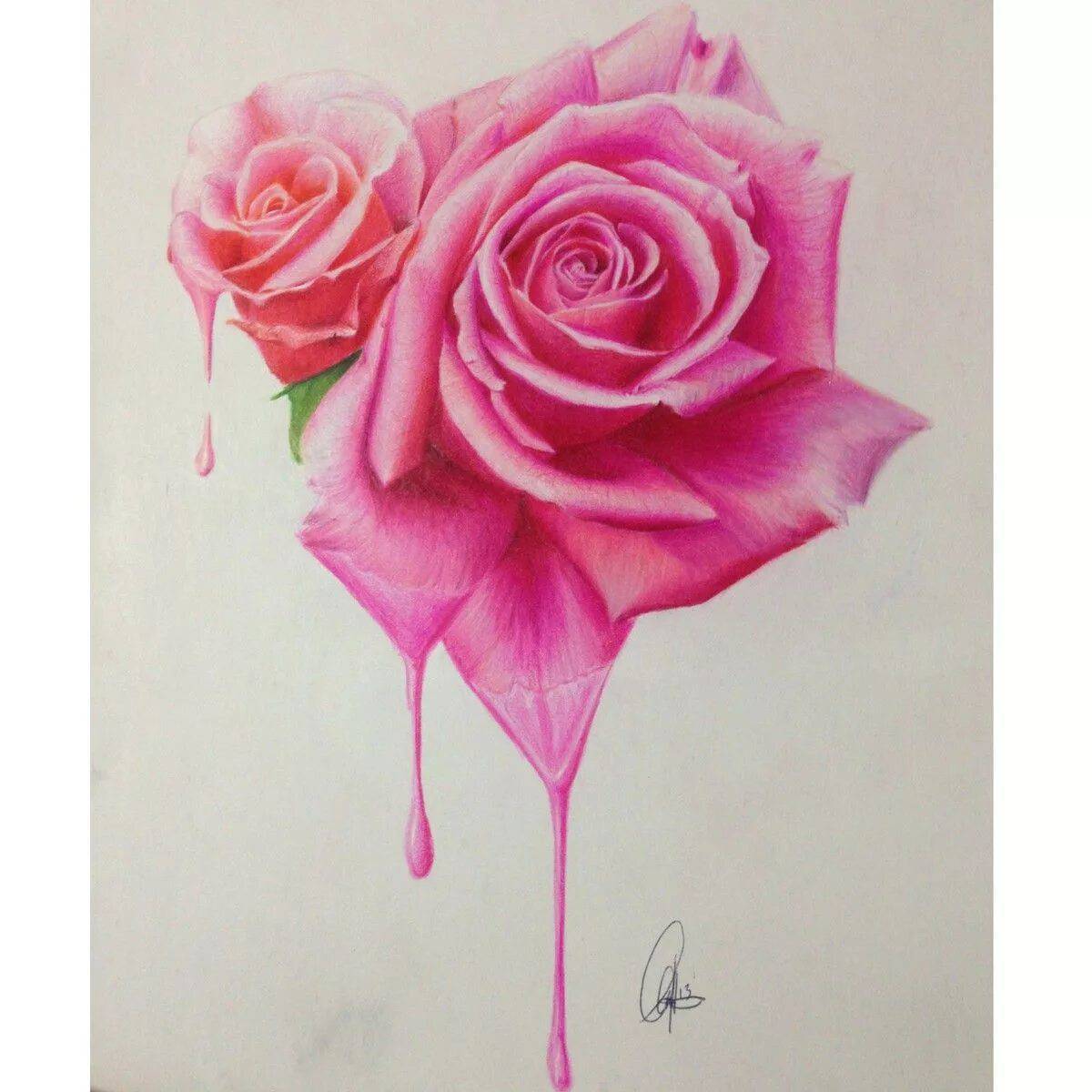 Рисунок роза #15