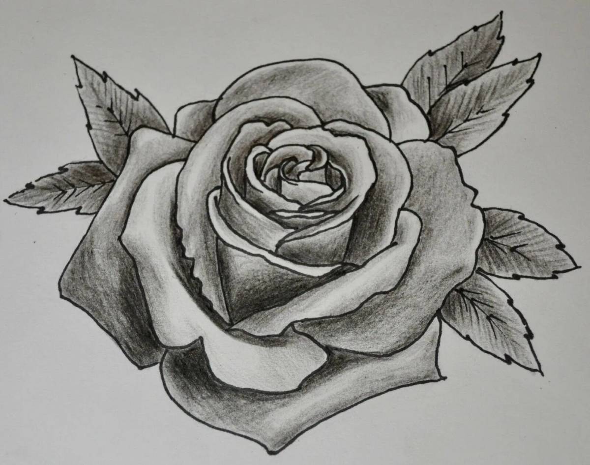 Рисунок роза #19