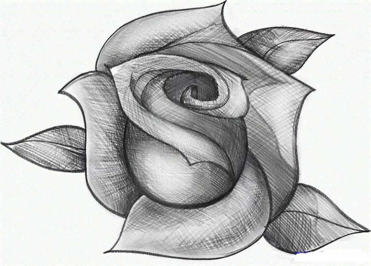 Рисунок роза #20