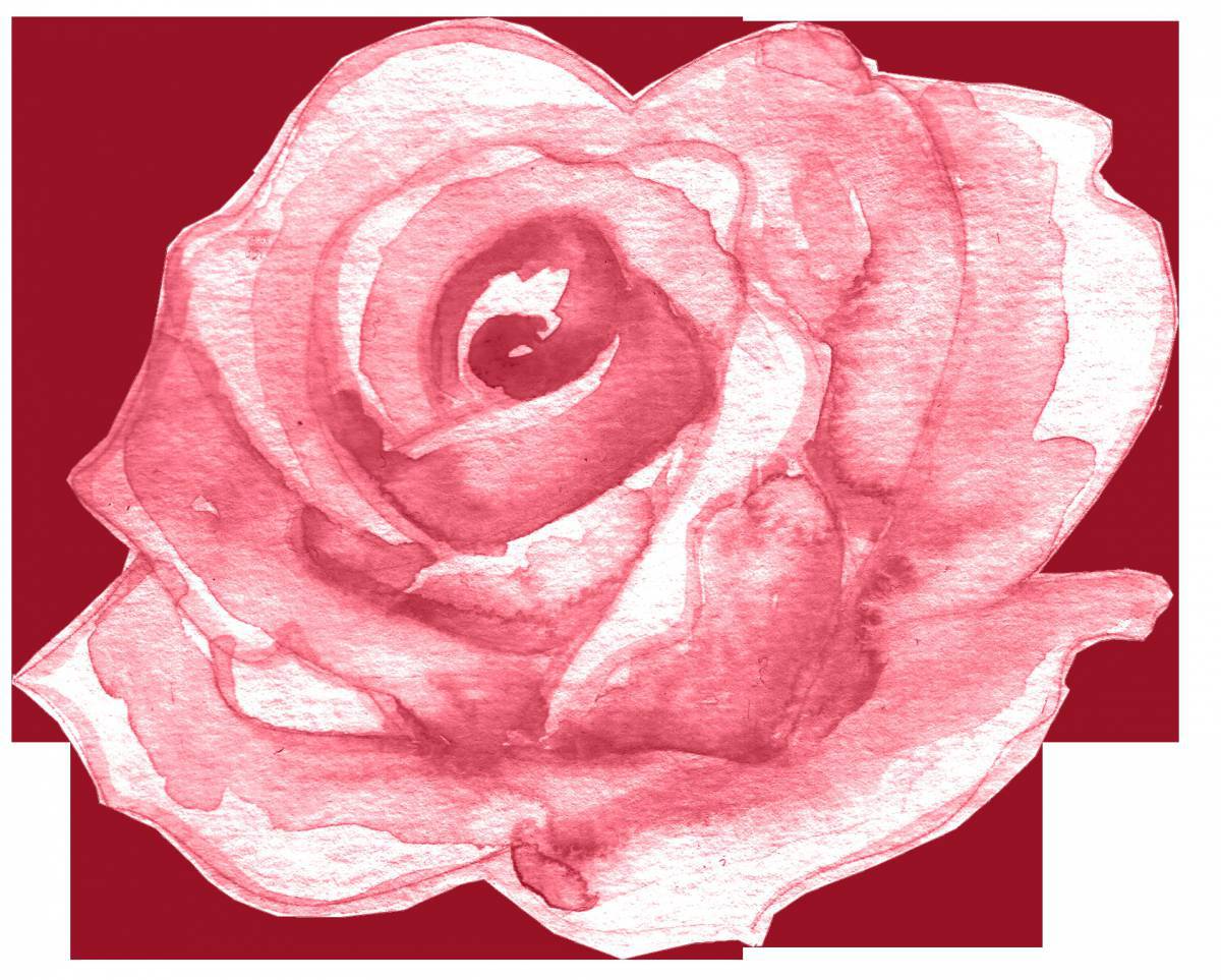 Рисунок роза #21