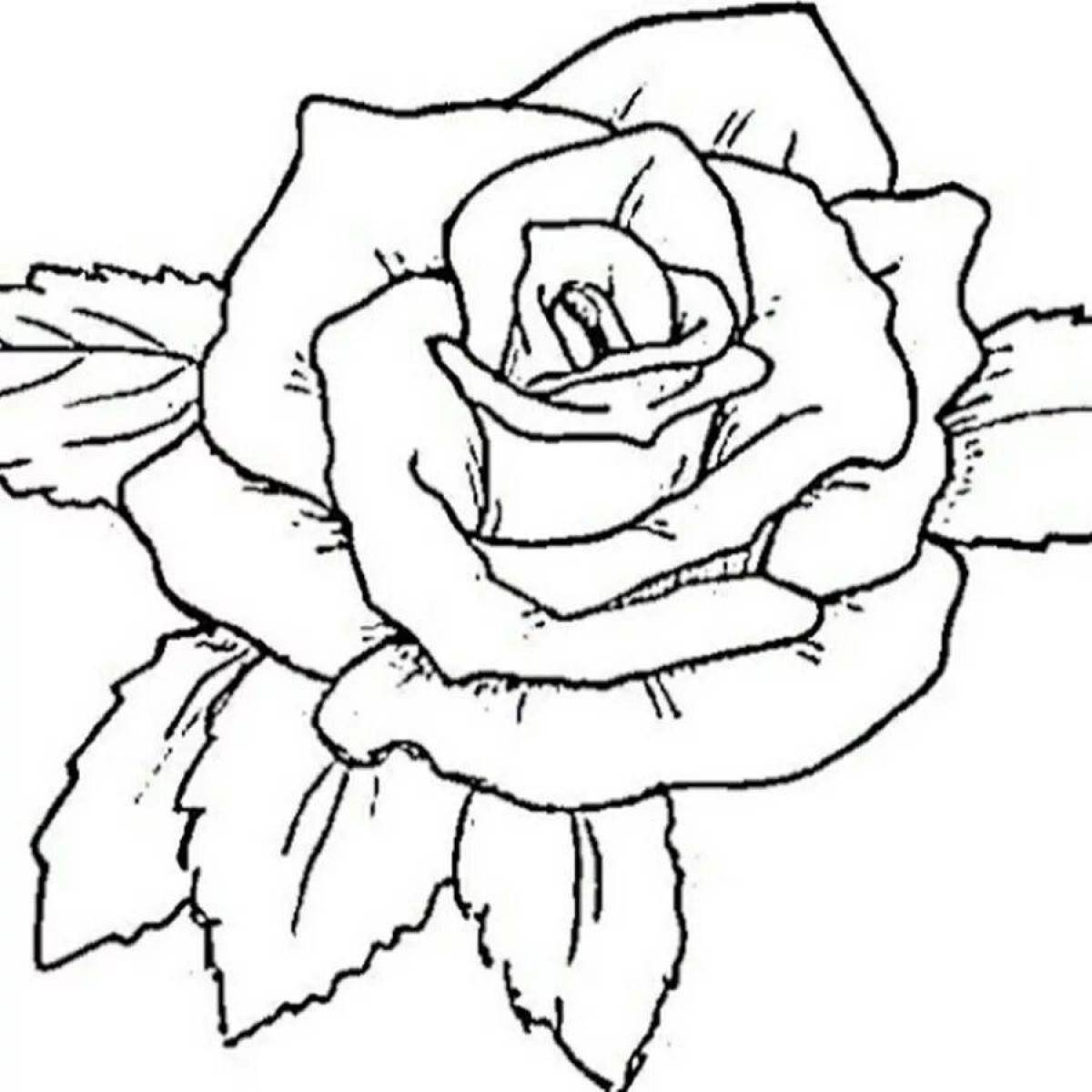 Рисунок роза #29