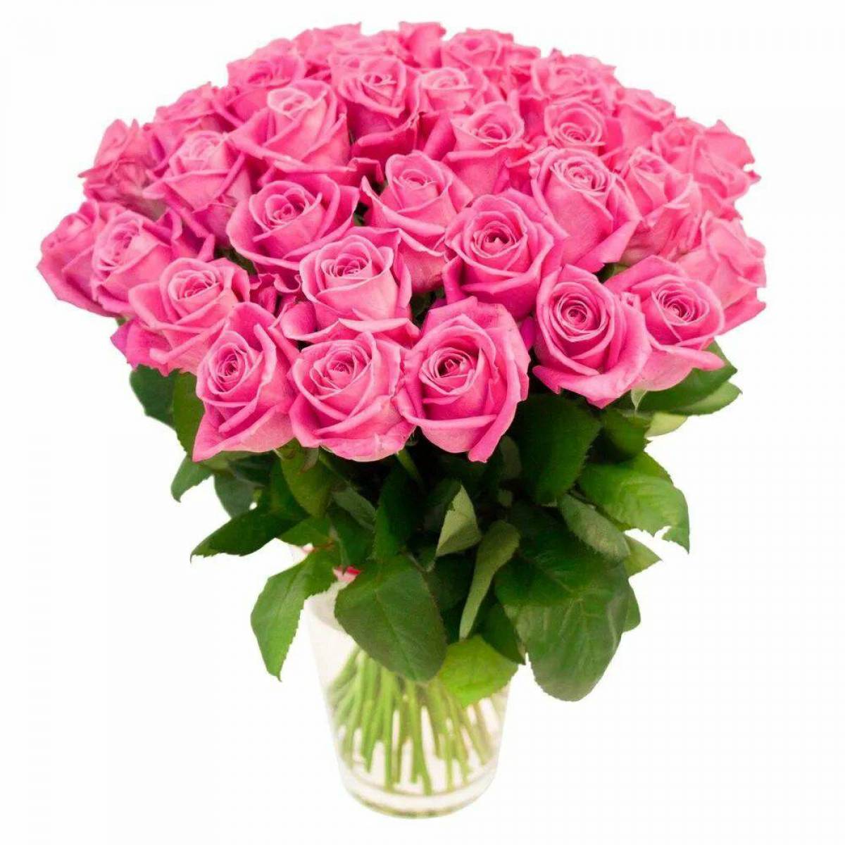Букеты роз праздничные. 25 Розовых роз Ревиваль 50 см. Красивый букет. Шикарный букет цветов. Шикарный букет роз.