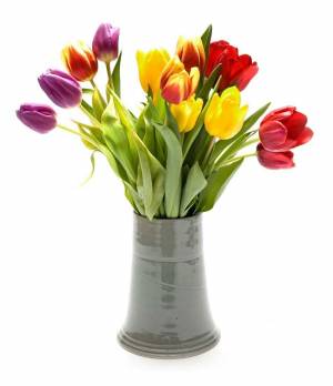 Раскраска ваза с цветами #15 #46164