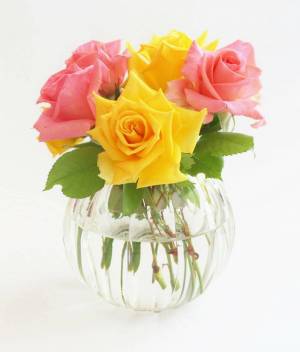 Раскраска ваза с цветами #22 #46171