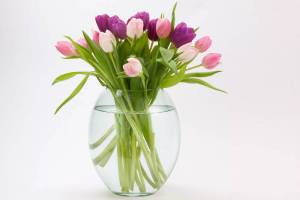 Раскраска ваза с цветами #31 #46180