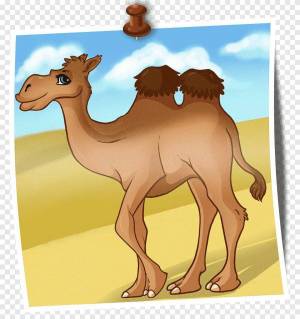 Раскраска верблюд для детей #7 #47306