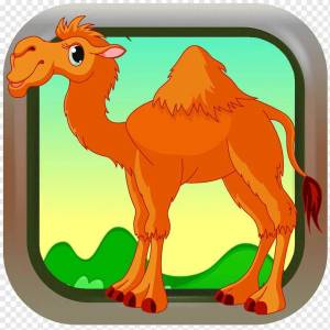 Раскраска верблюд для детей #8 #47307