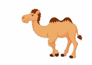 Раскраска верблюд для детей #11 #47310