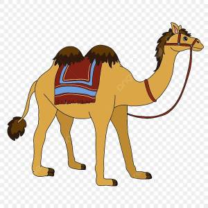 Раскраска верблюд для детей #13 #47312