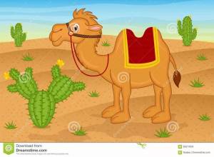 Раскраска верблюд для детей #14 #47313