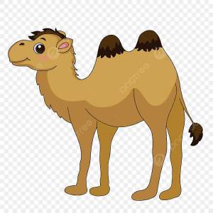Раскраска верблюд для детей #15 #47314