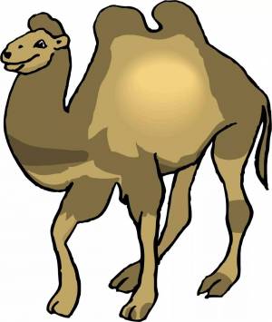 Раскраска верблюд для детей #16 #47315