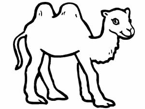 Раскраска верблюд для детей #18 #47317