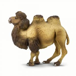 Раскраска верблюд для детей #20 #47319