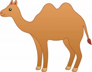 Раскраска верблюд для детей #21 #47320