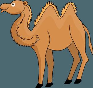 Раскраска верблюд для детей #22 #47321