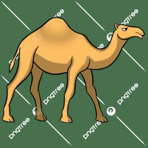 Раскраска верблюд для детей #26 #47325