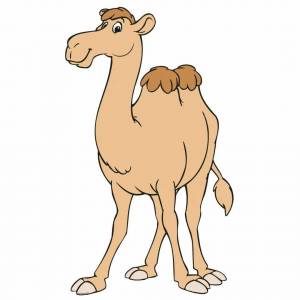 Раскраска верблюд для детей #29 #47328