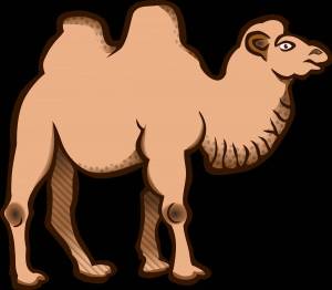 Раскраска верблюд для детей #30 #47329