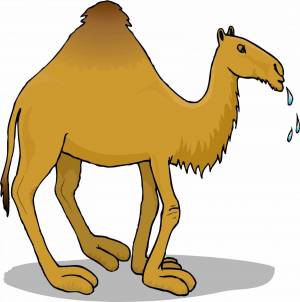Раскраска верблюд для детей #33 #47332