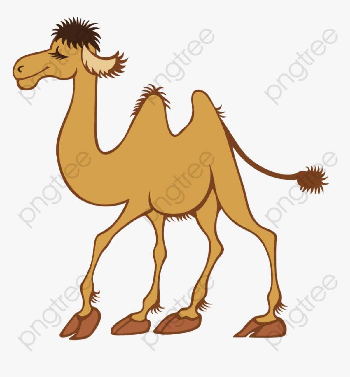 Верблюд для детей #3