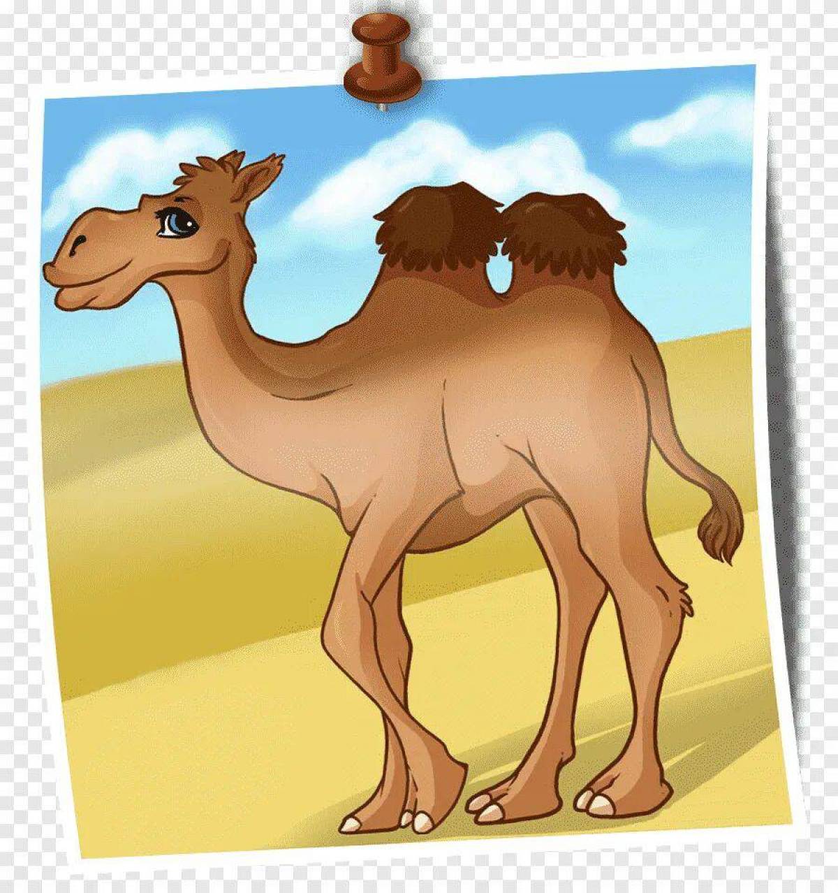Верблюд для детей #7