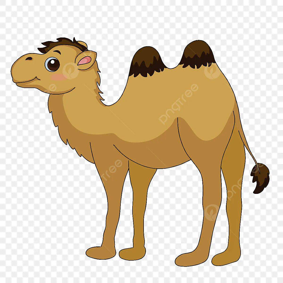 Верблюд для детей #15