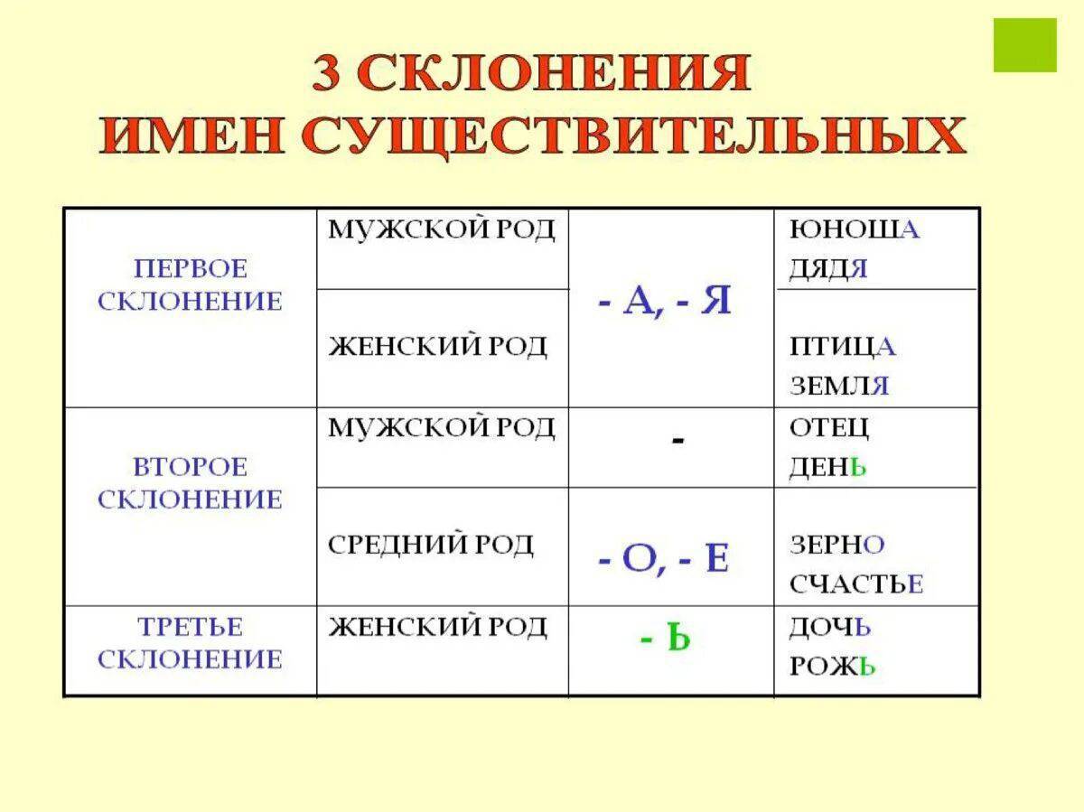 Какого склонения слово формы