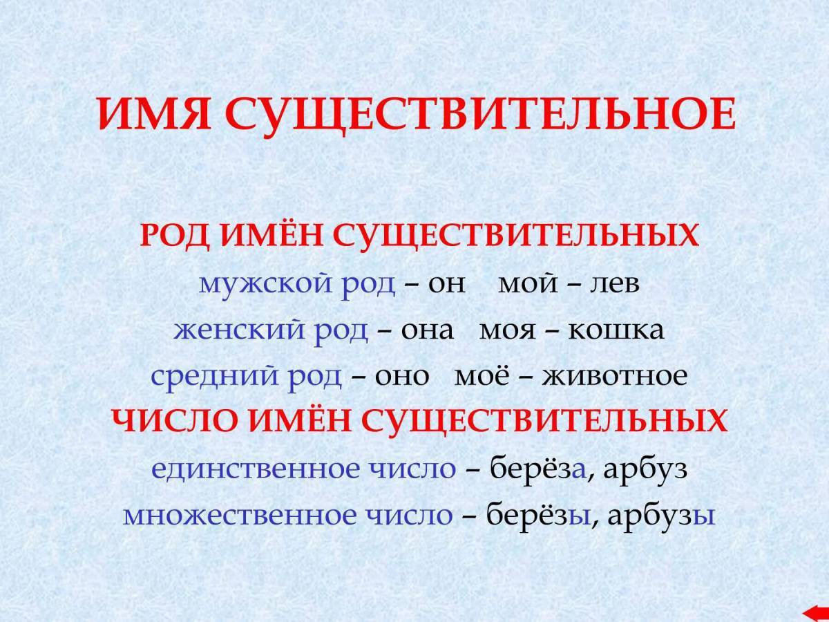 Мужской род русский язык 3 класс. Род и число имен существительных. Родимён существительных. Имя существительное род имен существительных. Род имён существительных 3 класс.