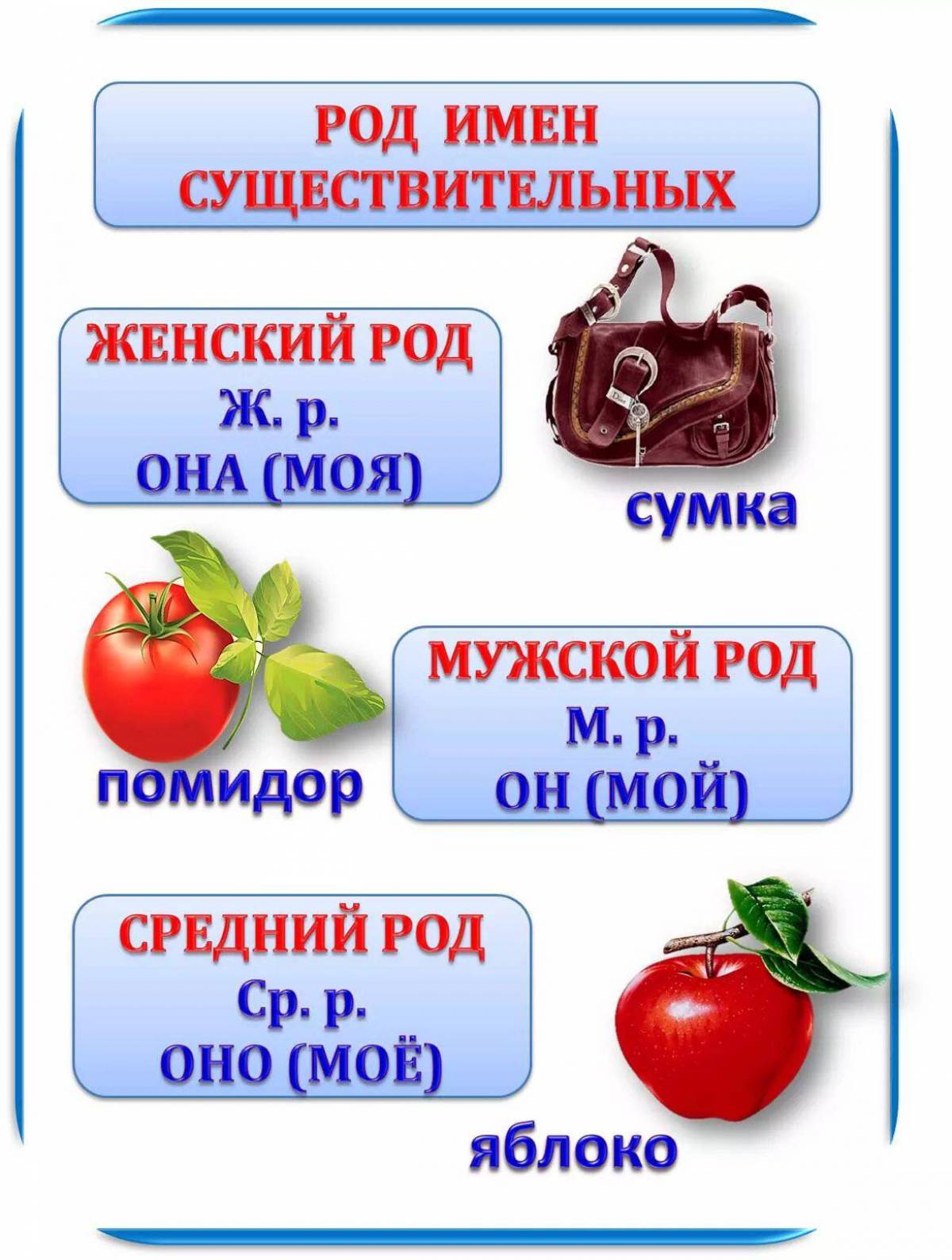 Картинка <b>Род</b> имен существительных 3 класс #38.