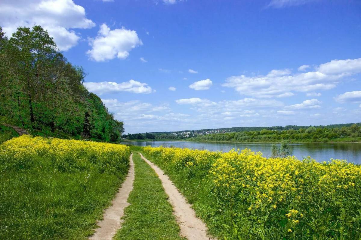 Край родной фото картинки