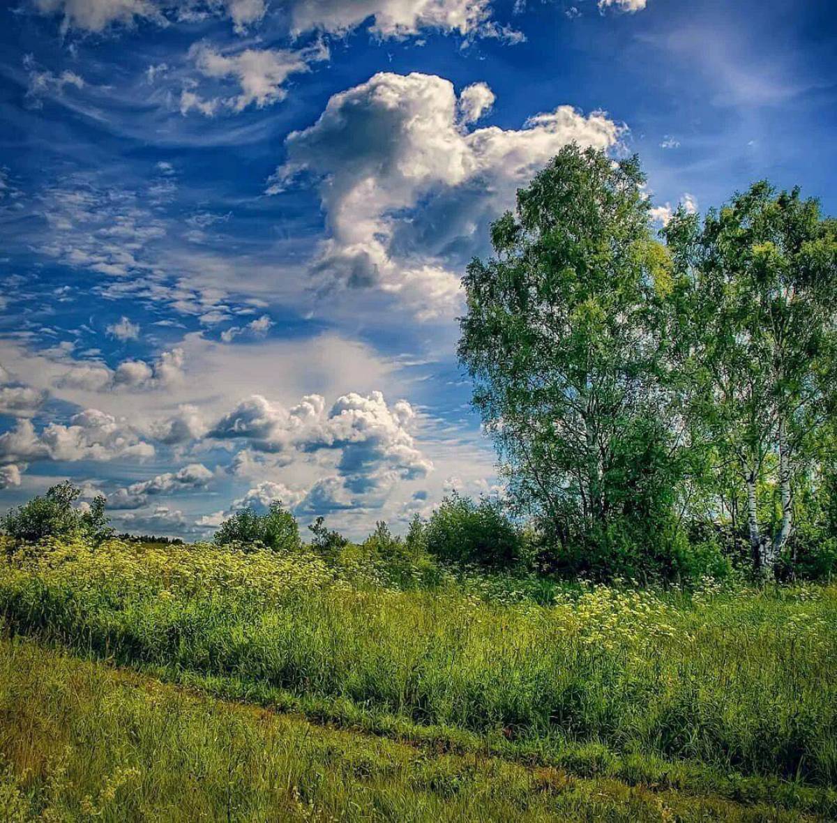 Картинки красота родного края