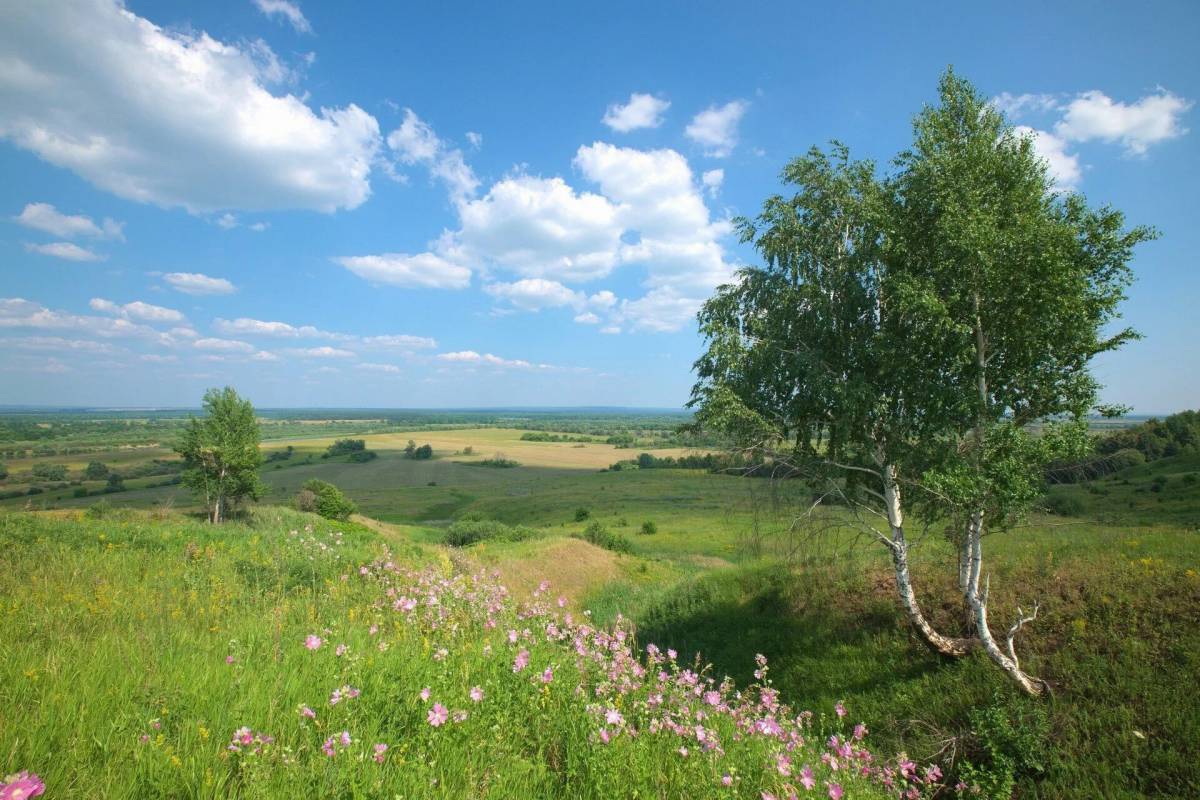 Наш край картинки