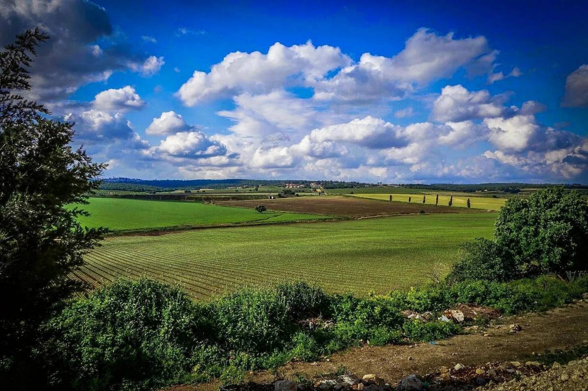 Край родной фото картинки