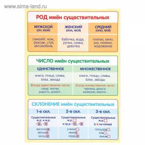 Раскраска род имен существительных 3 класс #11 #477119