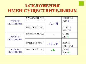 Раскраска род имен существительных 3 класс #20 #477128